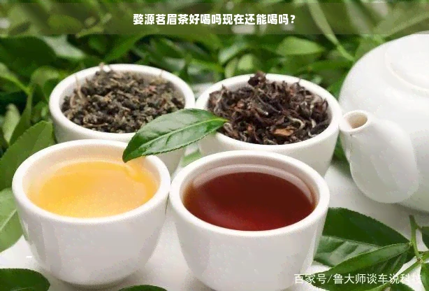 婺源茗眉茶好喝吗现在还能喝吗？