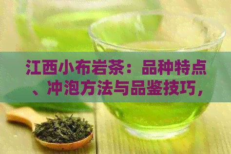 江西小布岩茶：品种特点、冲泡方法与品鉴技巧，一篇全面指南！