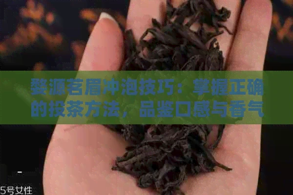 婺源茗眉冲泡技巧：掌握正确的投茶方法，品鉴口感与香气