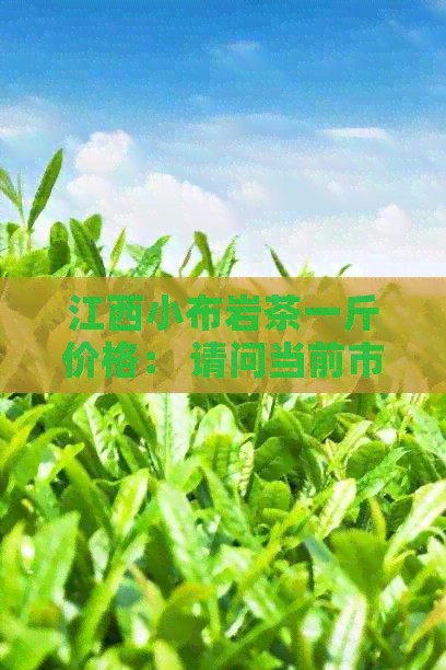 江西小布岩茶一斤价格： 请问当前市价是多少？