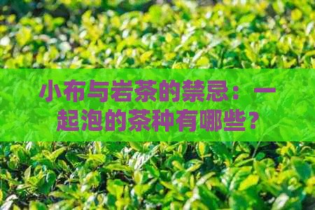 小布与岩茶的禁忌：一起泡的茶种有哪些？