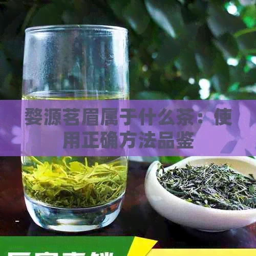 婺源茗眉属于什么茶：使用正确方法品鉴