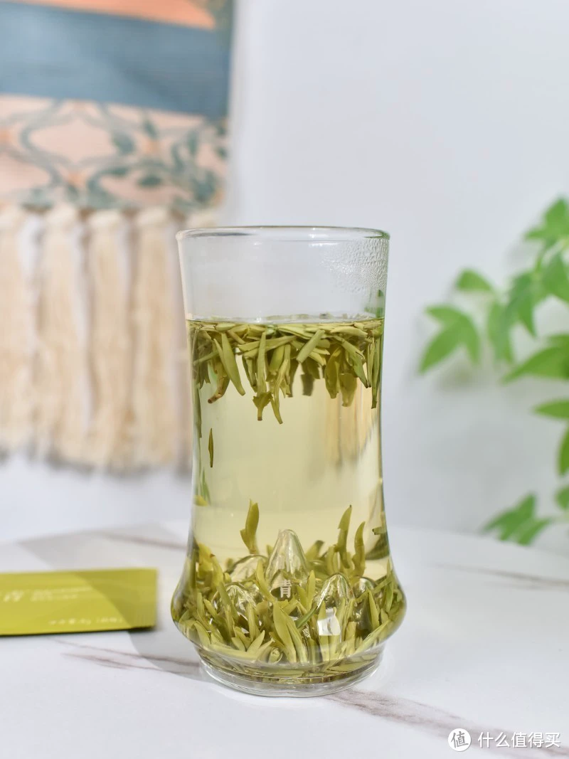 竹叶青茶：三五好友约茶上选，酷夏被它“藏”了起来