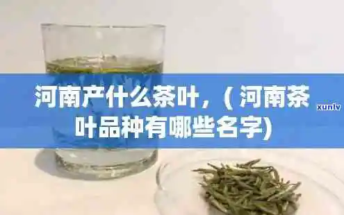 河南十大名茶全揭秘：名称、品质一网打尽！