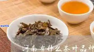 河南十大名茶有哪些-河南十大名茶有哪些图片及价格