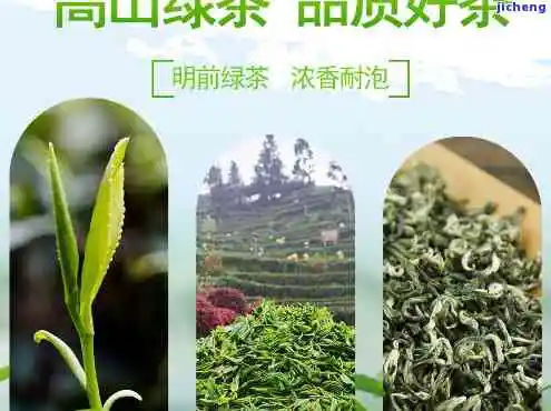 青城山出名的茶叶有哪些？