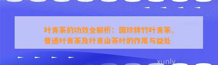 叶青茶的功效全解析：国珍牌竹叶青茶、普通叶青茶及叶青山茶叶的作用与益处