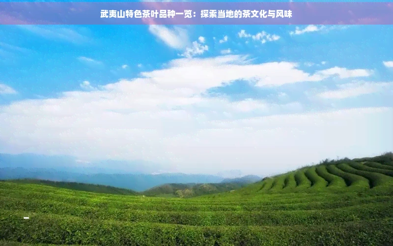 武夷山特色茶叶品种一览：探索当地的茶文化与风味