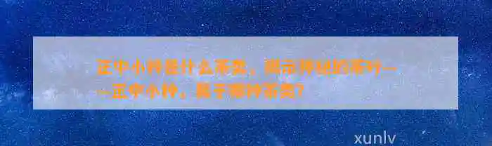 正中小种是什么茶类，揭示神秘的茶叶——正中小种，属于哪种茶类？