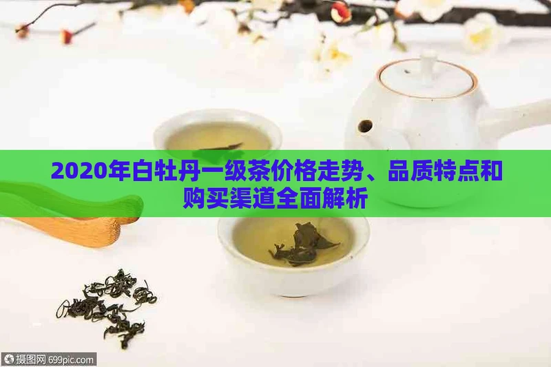 2020年白牡丹一级茶价格走势、品质特点和购买渠道全面解析