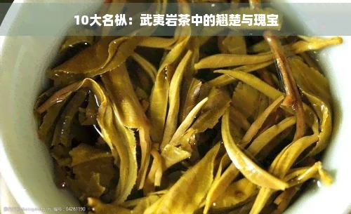 10大名枞：武夷岩茶中的翘楚与瑰宝