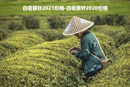 白毫银针2021价格-白毫银针2020价格