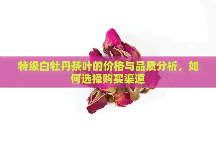 特级白牡丹茶叶的价格与品质分析，如何选择购买渠道