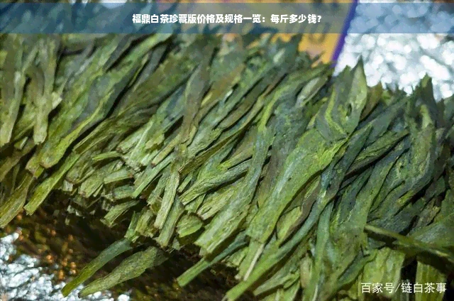 福鼎白茶珍藏版价格及规格一览：每斤多少钱？