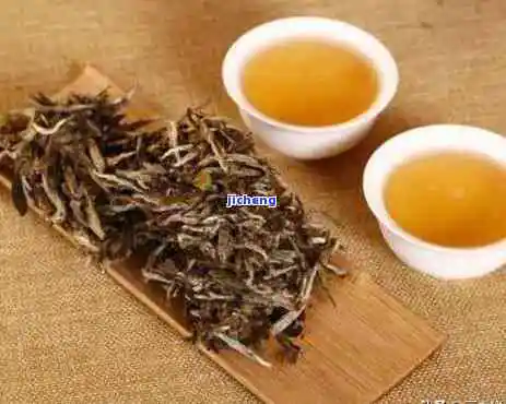 白牡丹茶的特征是什么？详解其特别的品质与口感