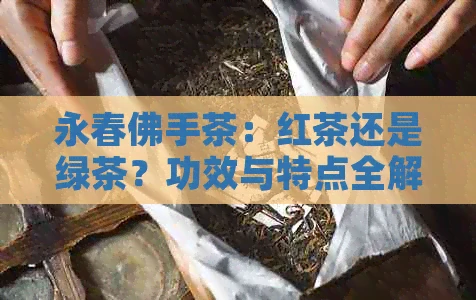 永春佛手茶：红茶还是绿茶？功效与特点全解析