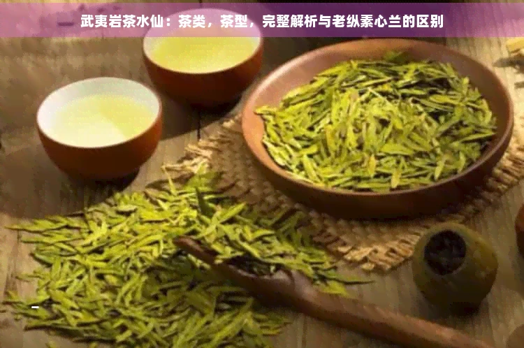 武夷岩茶水仙：茶类，茶型，完整解析与老纵素心兰的区别