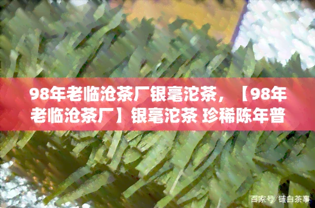 98年老临沧茶厂银毫沱茶，【98年老临沧茶厂】银毫沱茶 珍稀陈年普洱熟茶 生茶100g