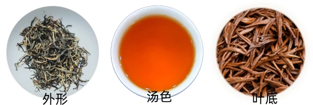 信阳红茶品质特征.png